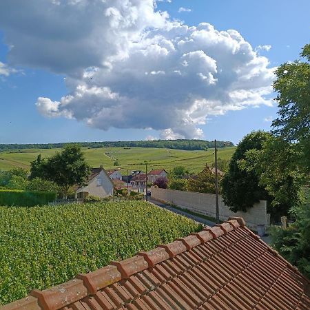 Gite Independant Diz'Enreves Au Coeur Des Vignes ディジー エクステリア 写真