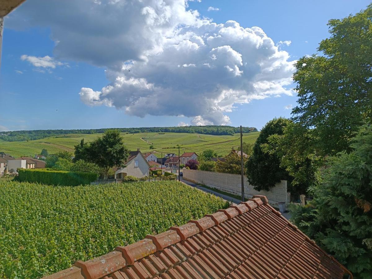 Gite Independant Diz'Enreves Au Coeur Des Vignes ディジー エクステリア 写真